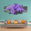 Colorful Leopard - Canvas Wall Art - Wall Art big cats canvas prints hot new items