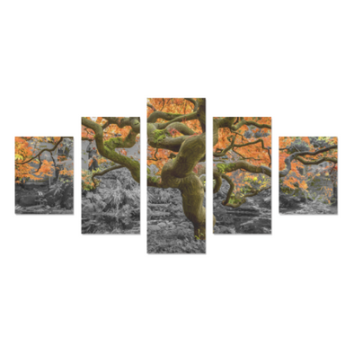 Old Wise Tree in the Forest - Canvas Wall Art - Old Wise Tree - Orange Canvas Wall Art Z (5 pieces) - Wall Art canvas prints trees