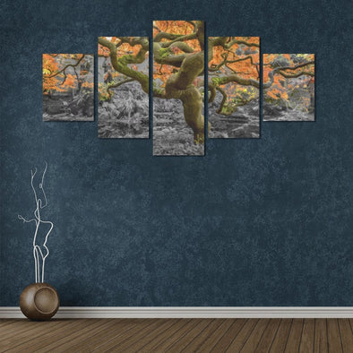 Old Wise Tree in the Forest - Canvas Wall Art - Wall Art canvas prints trees