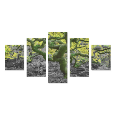 Old Wise Tree in the Forest - Canvas Wall Art - Old Wise Tree - Yellow Canvas Wall Art Z (5 pieces) - Wall Art canvas prints trees