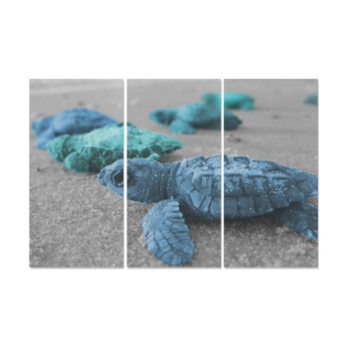Turtles On The Beach - Canvas Wall Art - Blue Turquoise Turtles - Wall Art canvas prints turtles