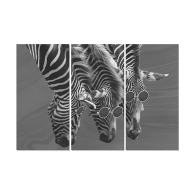 Zebras Wearing Sunglasses - Canvas Wall Art - Gray Zebras - Wall Art Canvas Prints Zebras